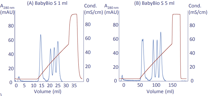  Scale-up from a BabyBio S 1 ml column to a BabyBio 