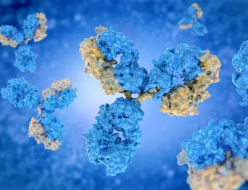 How pure is pure? Controlling your mAb purification process