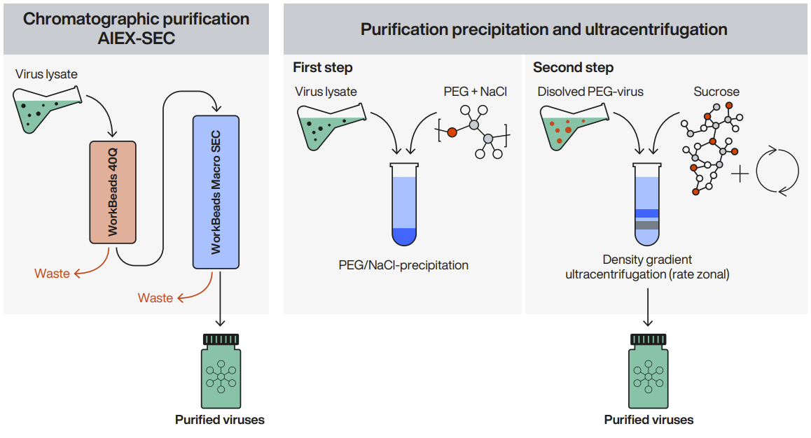 Chromatographic purification setup vs. purification by precipitation followed by ultracentrifugation
